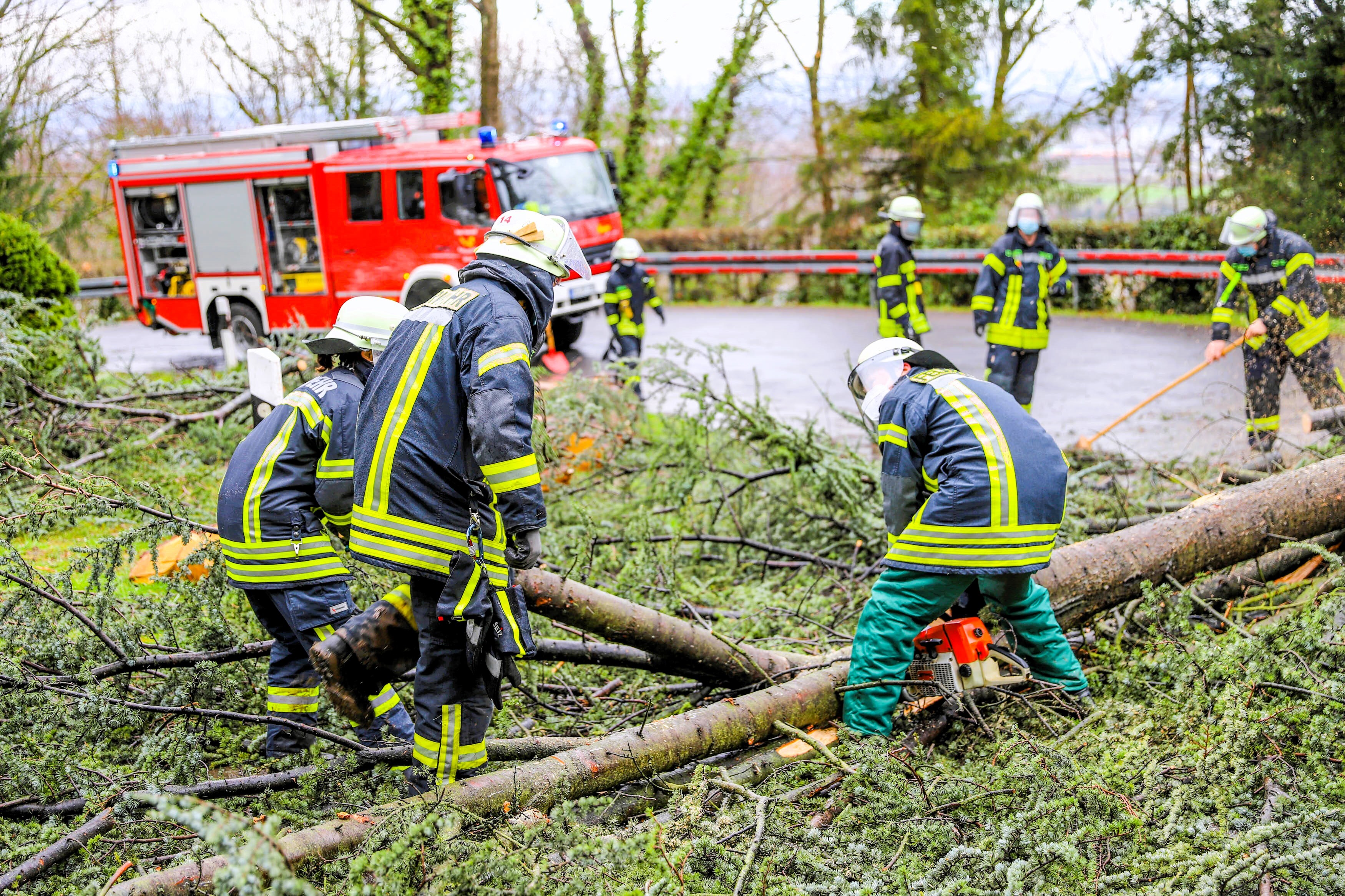 Unfall auf Zugstrecke - Personenzug kracht in auf den Gleisen liegenden Baum! Anwohner hatte ihn gefällt!!